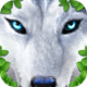 Cover Image of Ultimate Wolf Simulator MOD APK 1.2 (Unlimited Money)